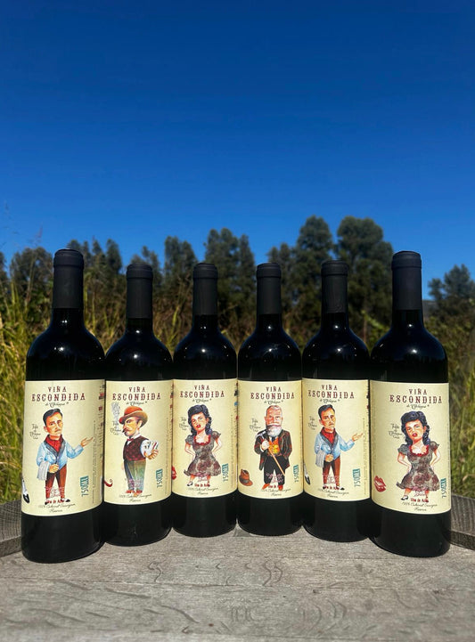 Cabernet Sauvignon Gran Reserva 2020 oferta pack