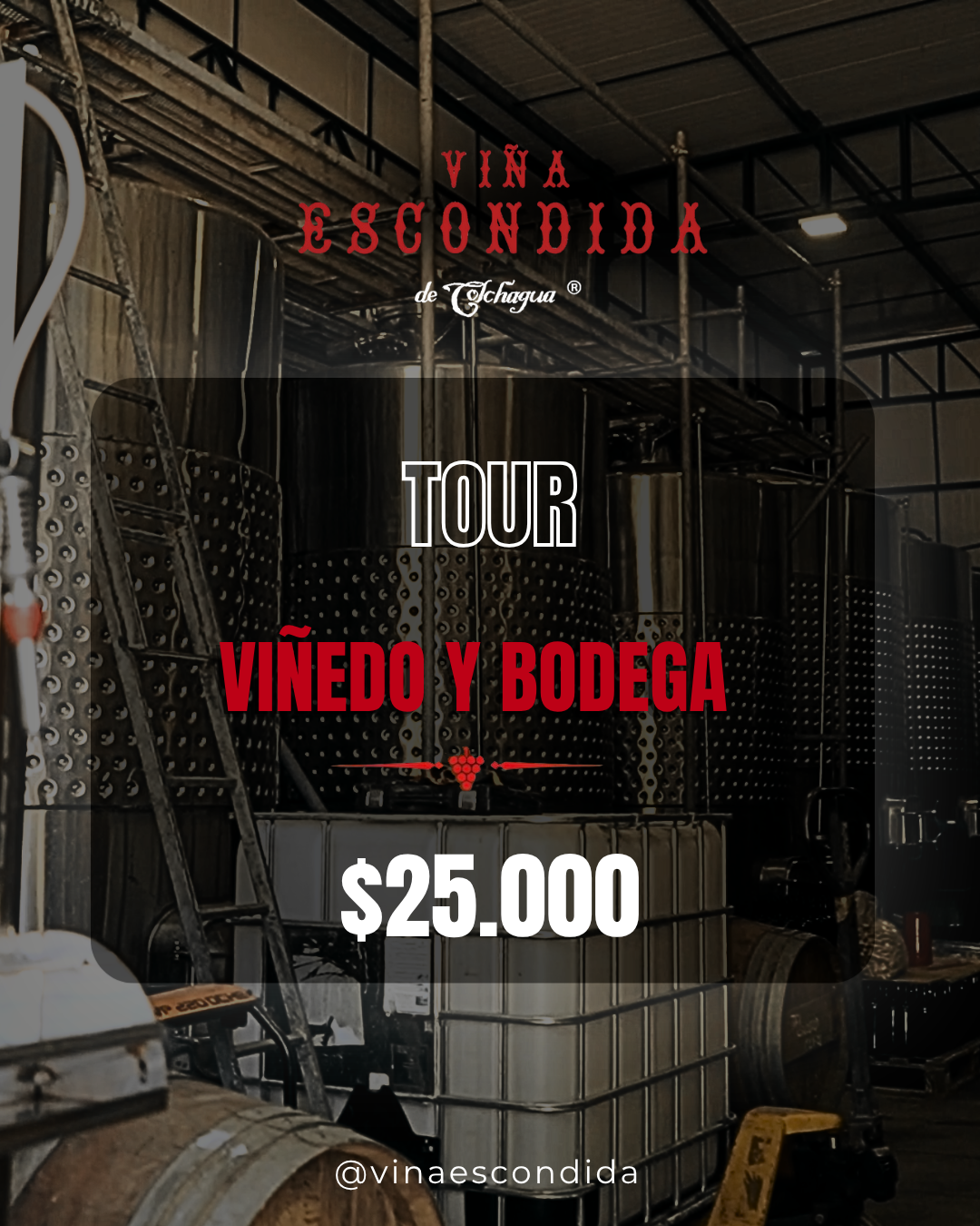 Tour Viñedo Y Bodega