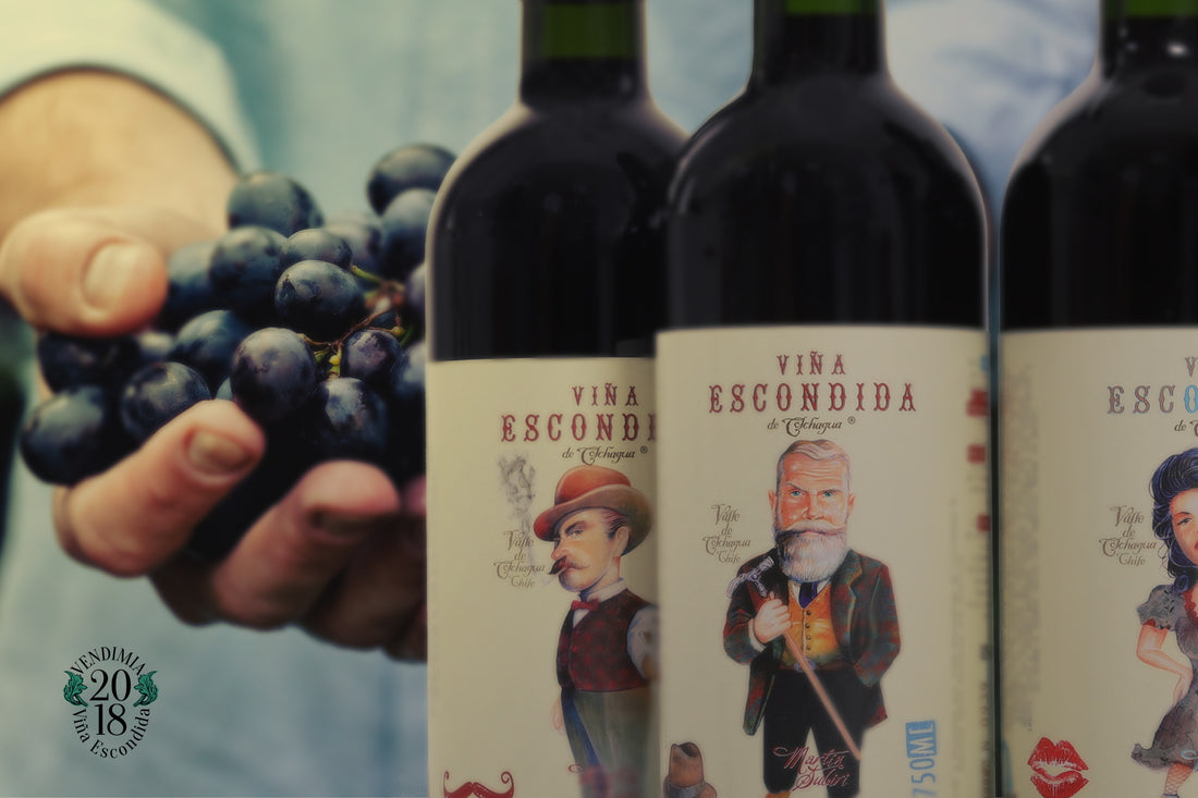 Fiesta de la vendimia en Santa Cruz