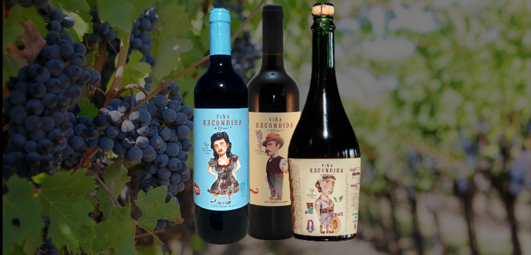 Venta de Vinos Online