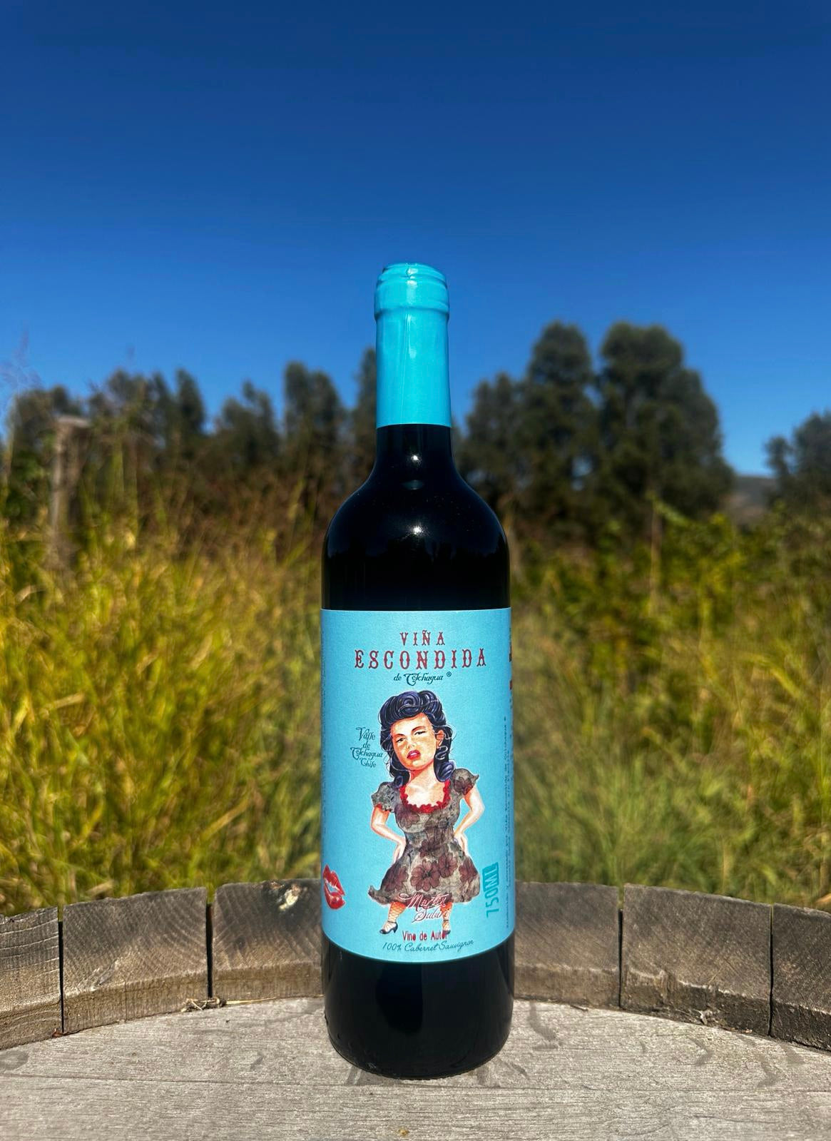 Cabernet Sauvignon Reserva 2022 La Madame 6 botellas