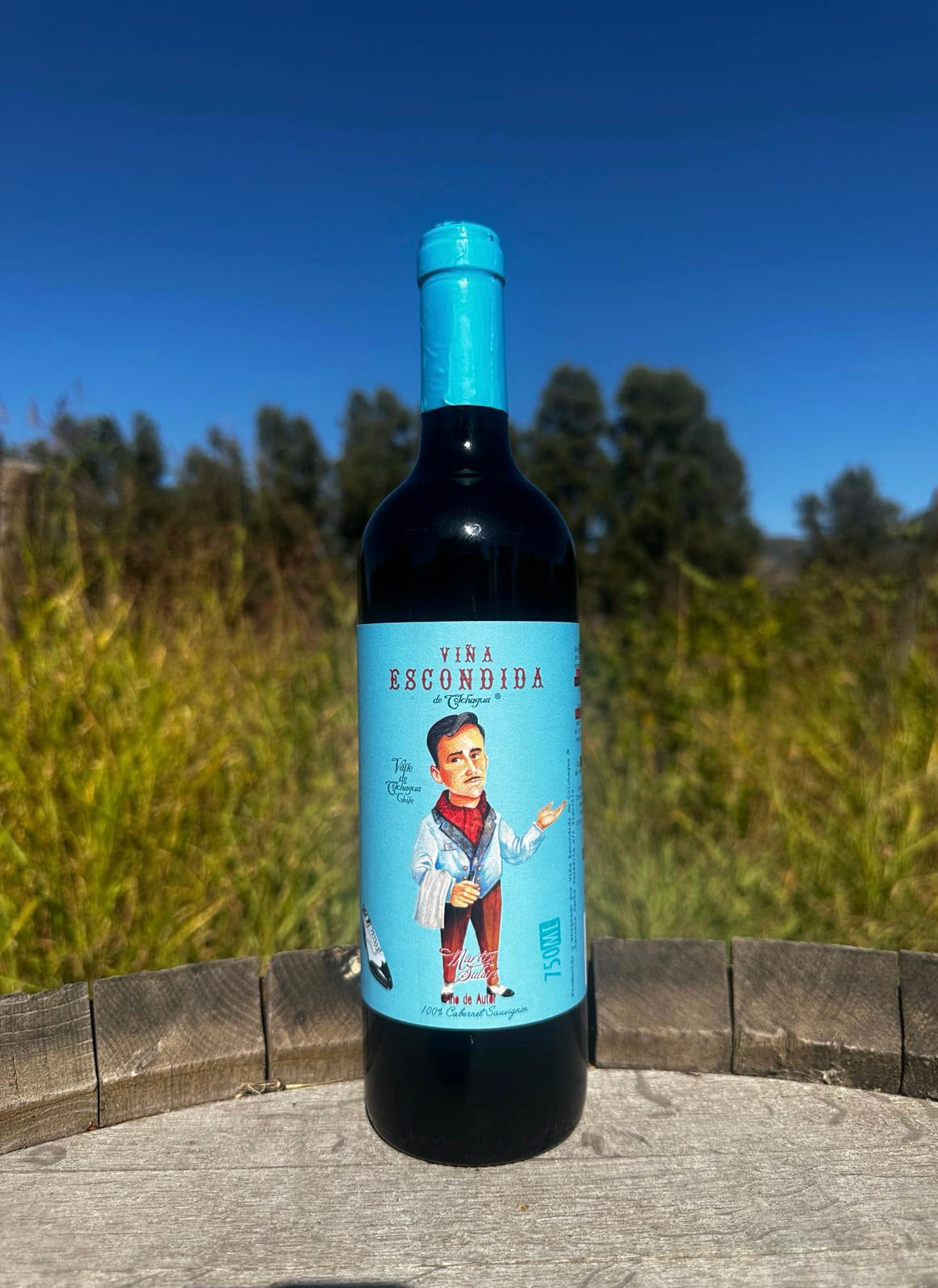 Cabernet Sauvignon Reserva 2022 El Mozo