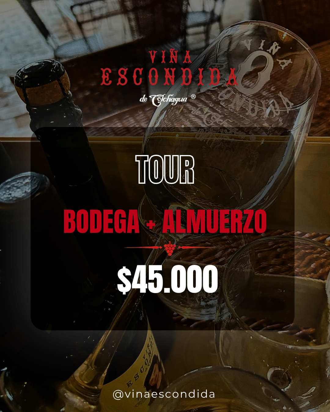 Tour Bodega y Almuerzo