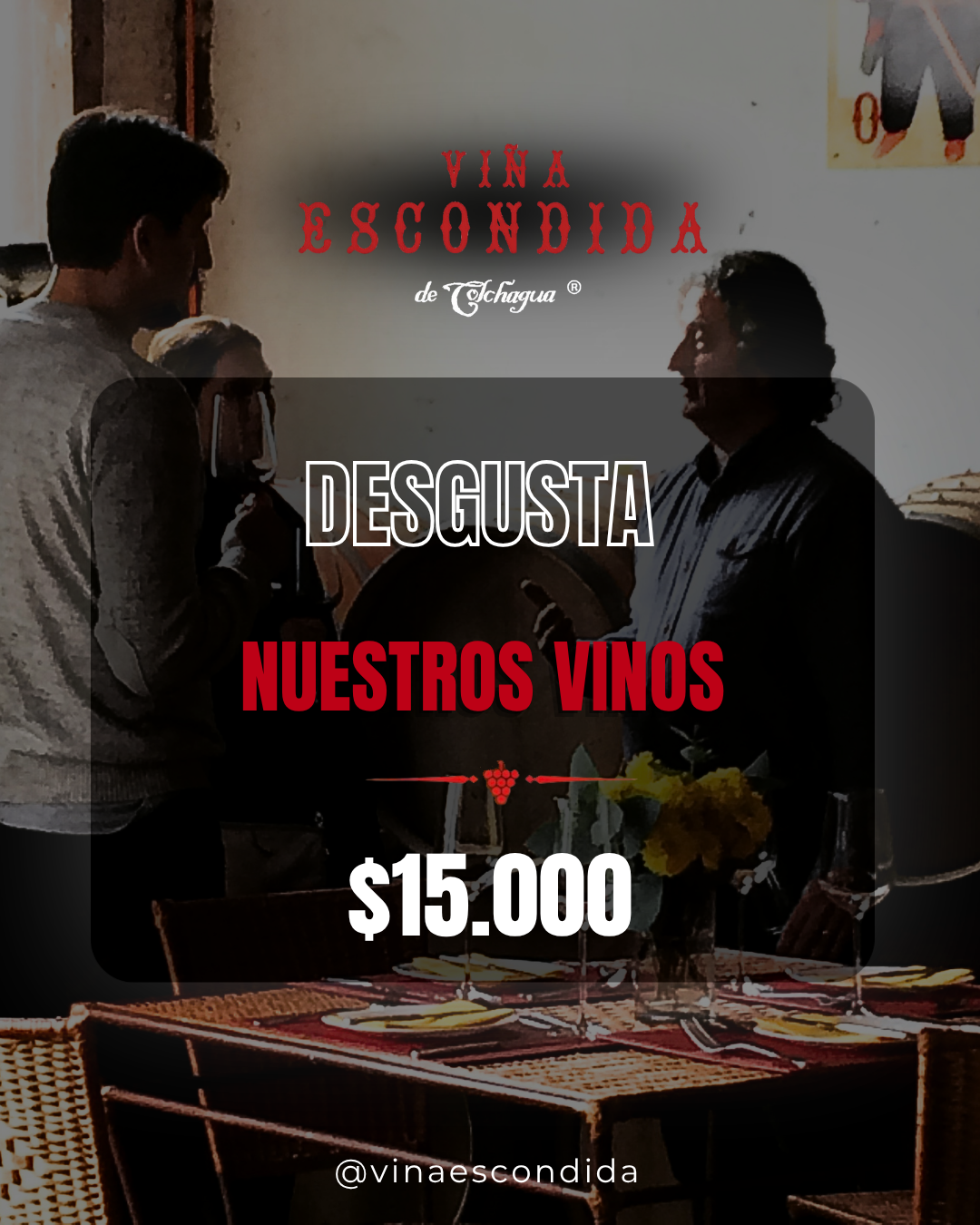 Degusta Nuestros Vinos