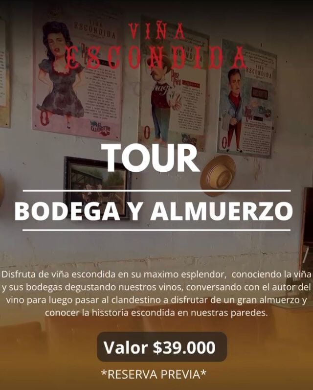 Tour Bodega y Almuerzo