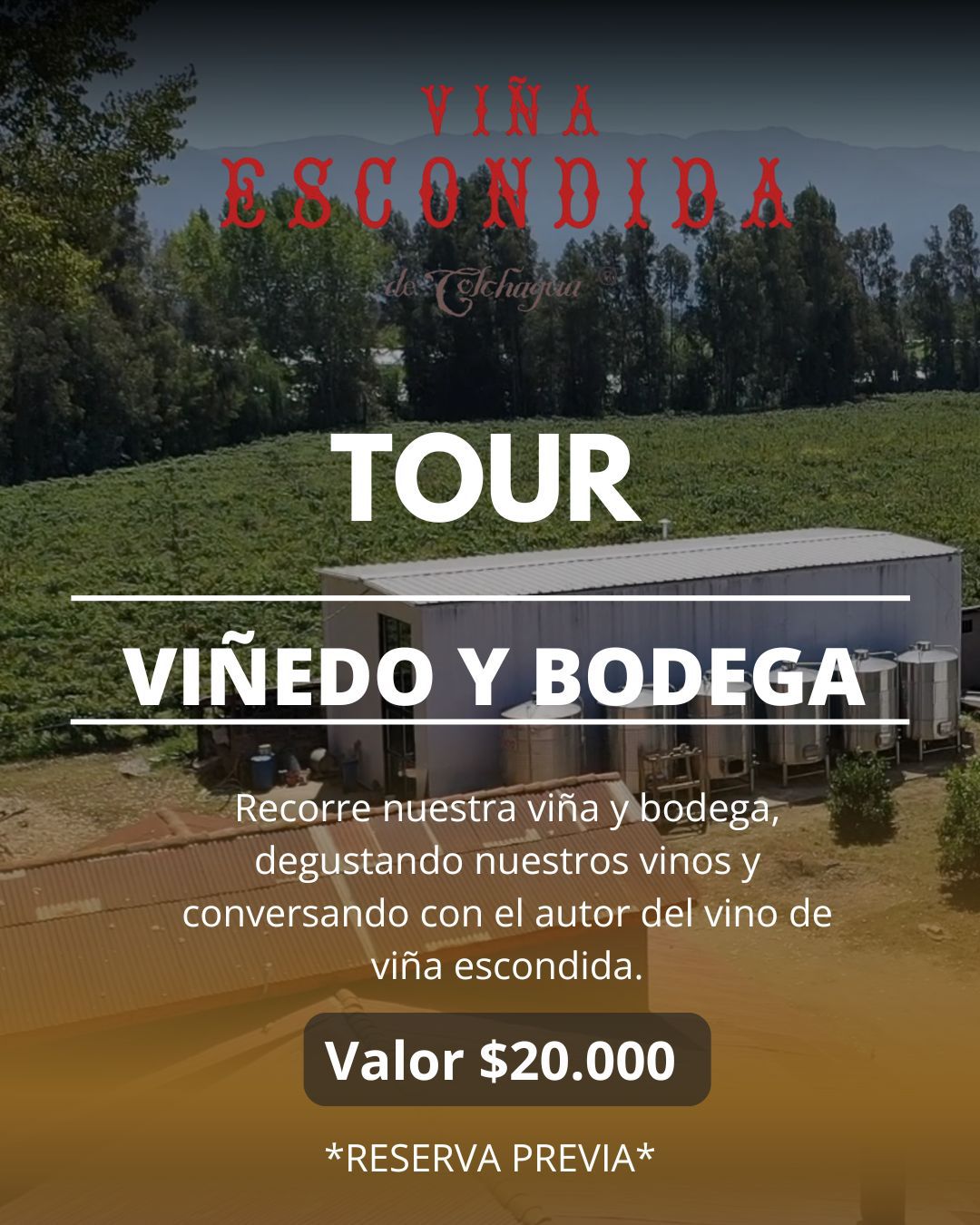 Tour Viñedo Y Bodega