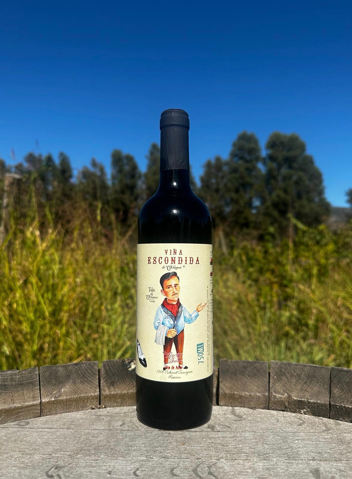 Cabernet Sauvignon Gran Reserva 2020 El Mozo